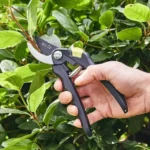 Gravier Affutage - service-ramassage - image_secateurs 25